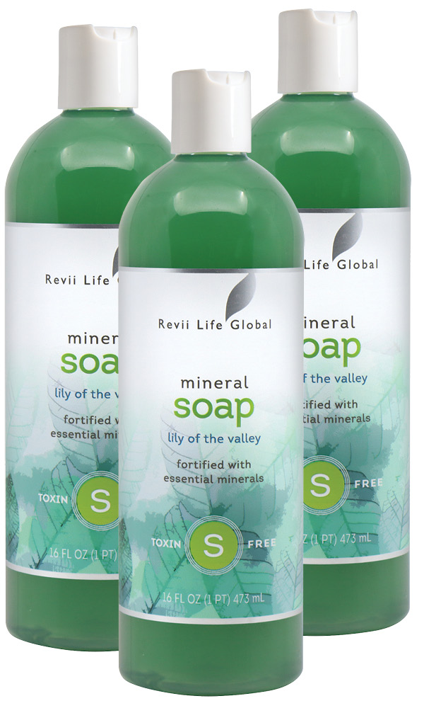 June Special: REGULAR Mineral Soap 3/Pack for $39.95