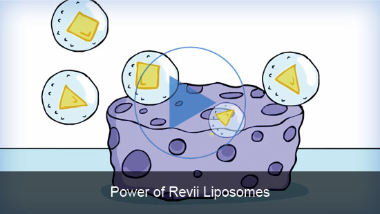 liposome video